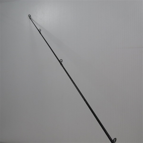 ２１ネッサＸＲＳ１００ＭＨ＋